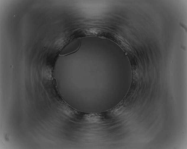 X0000091850331200709191101