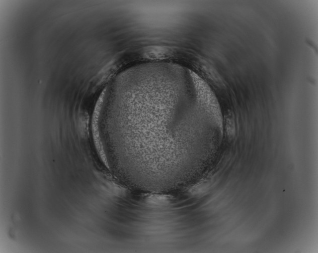 X0000091850332200709191101