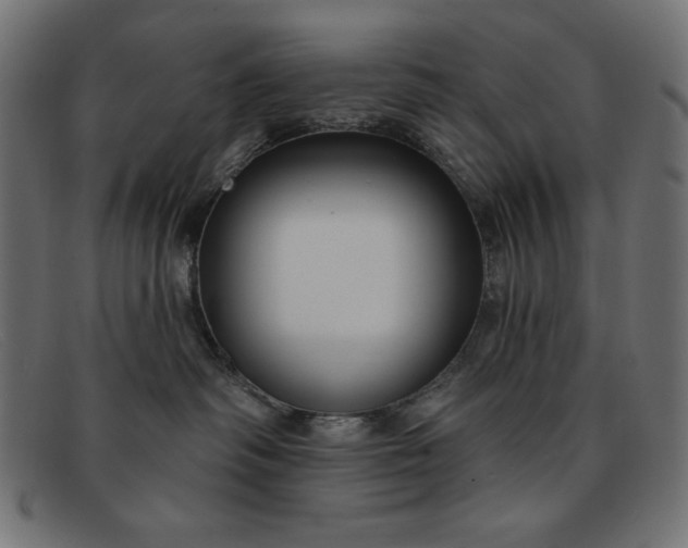X0000091850334200709191101
