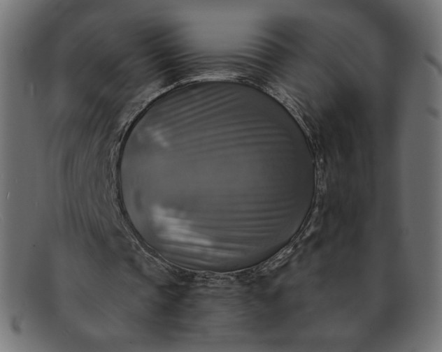 X0000091850337200709191101