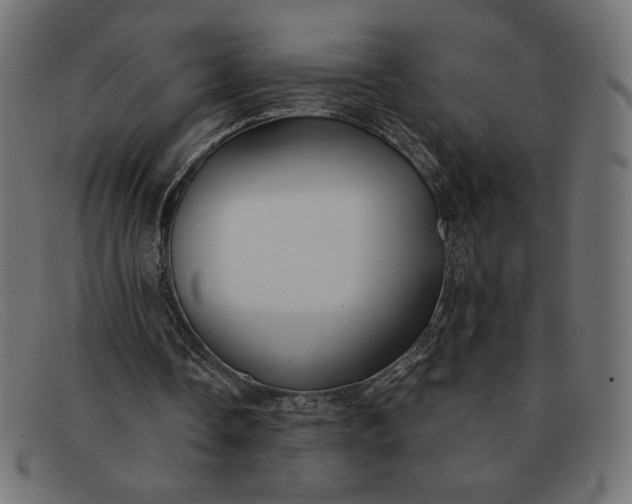 X0000091850338200709191101