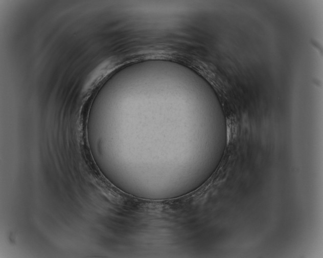 X0000091850339200709191101