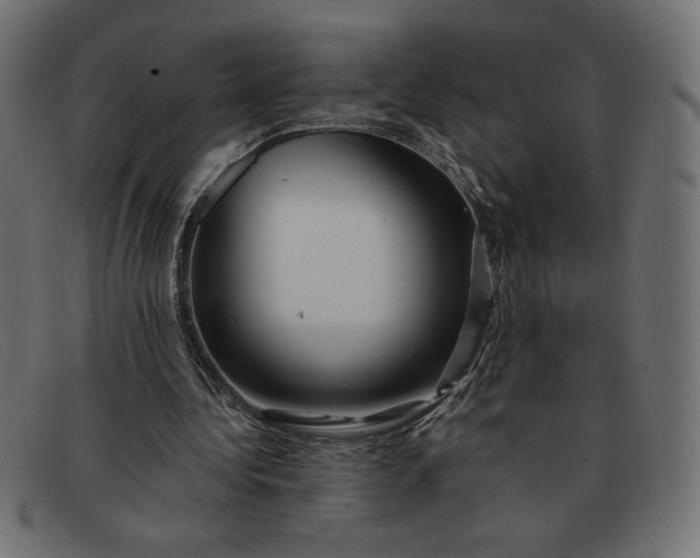X0000091850340200709191101