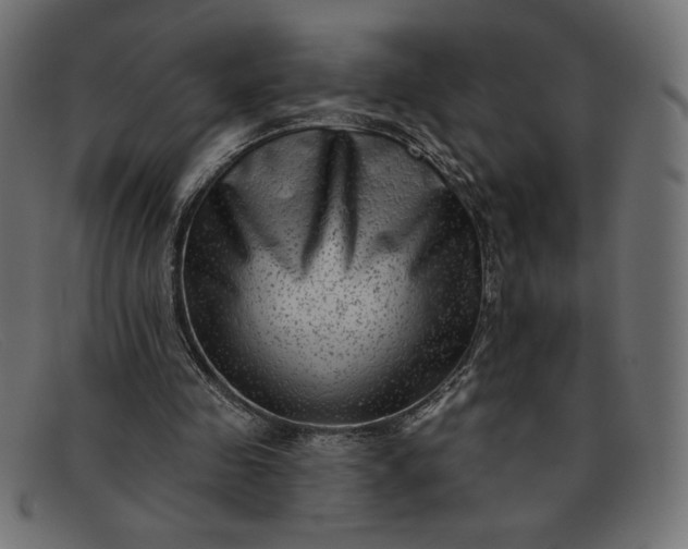X0000091850341200709191101