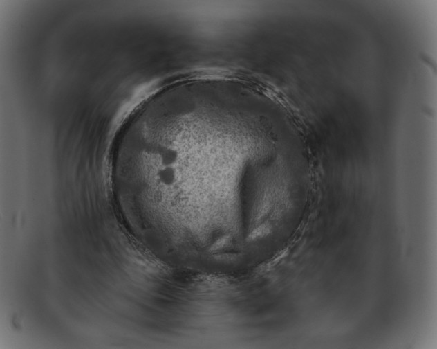 X0000091850343200709191101