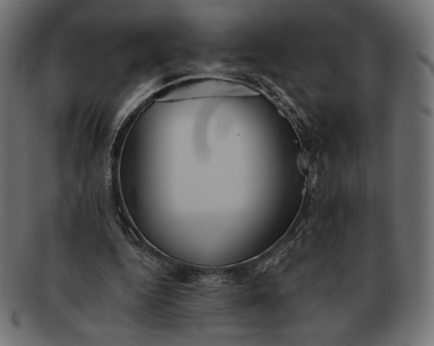 X0000091850344200709191101