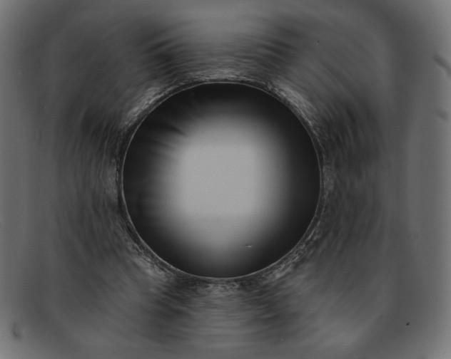 X0000091850345200709191101