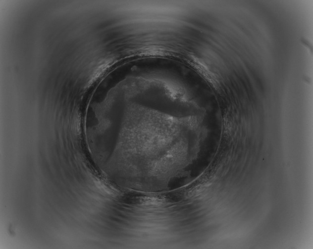 X0000091850347200709191101