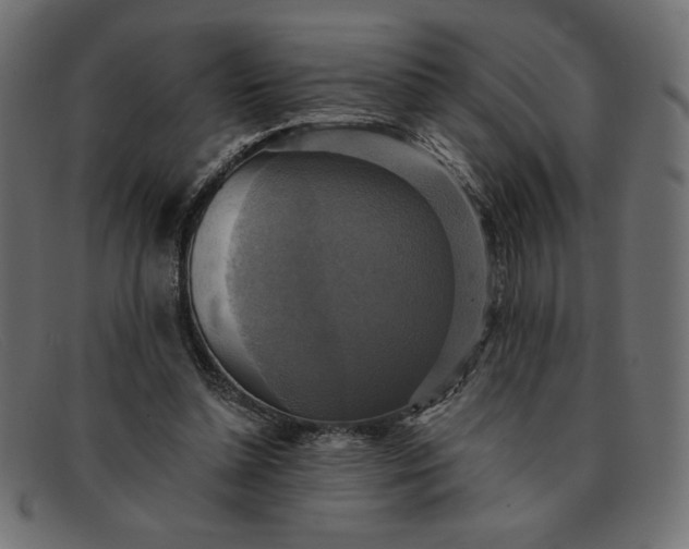 X0000091850348200709191101