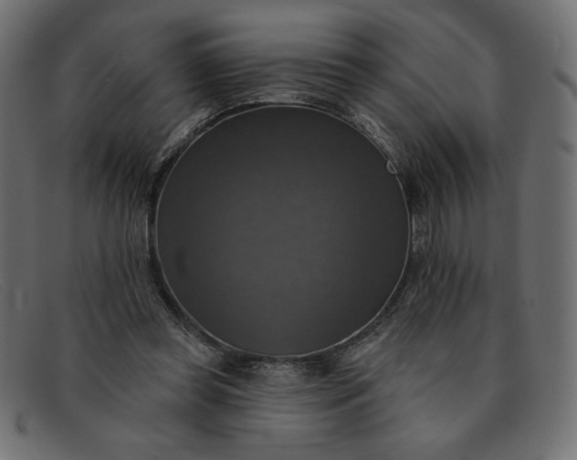 X0000091850349200709191101