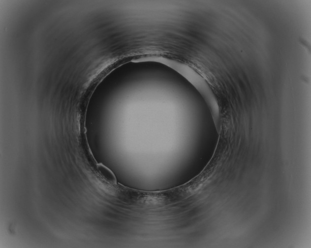 X0000091850350200709191101