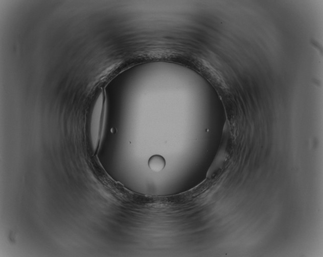 X0000091850356200709191101
