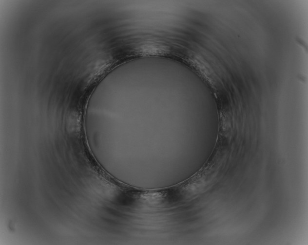 X0000091850357200709191101