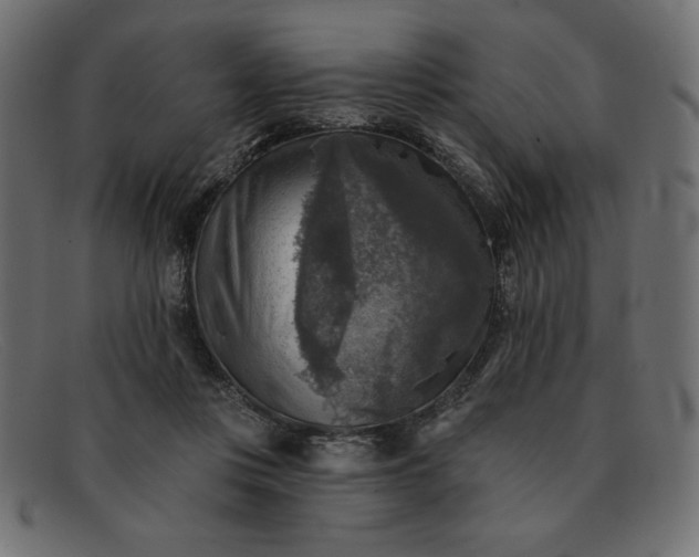 X0000091850359200709191101