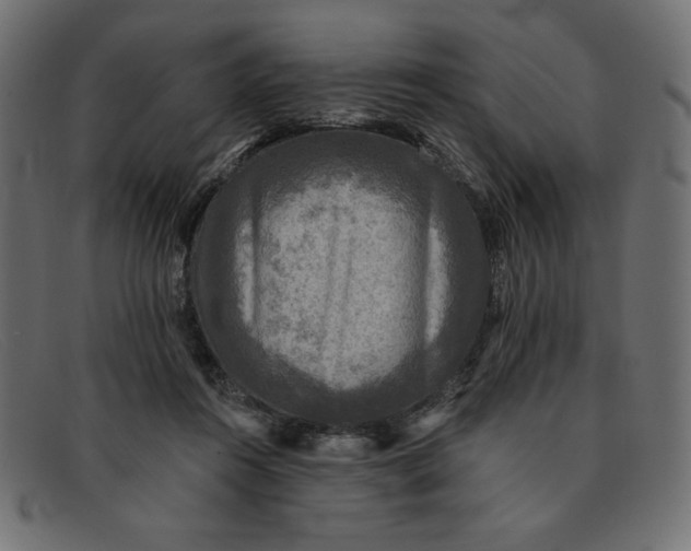 X0000091850360200709191101