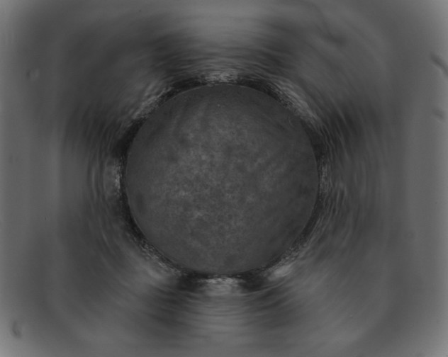 X0000091850363200709191101
