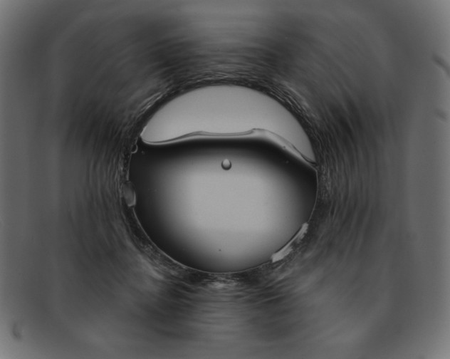 X0000091850364200709191101