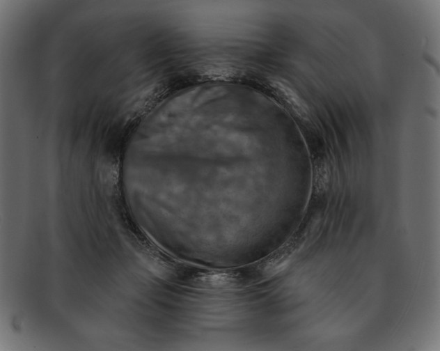 X0000091850365200709191101
