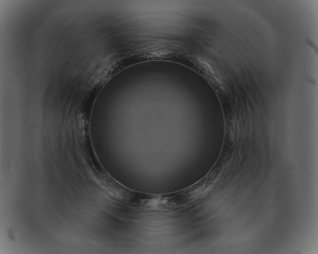 X0000091850366200709191101