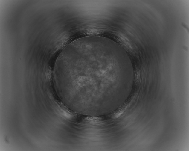 X0000091850367200709191101