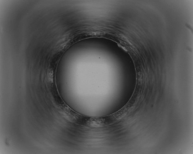X0000091850368200709191101