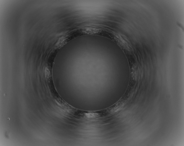 X0000091850371200709191101
