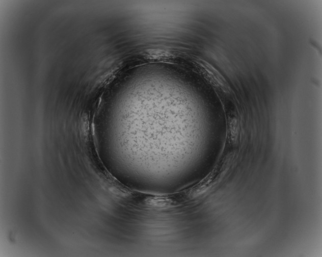 X0000091850372200709191101