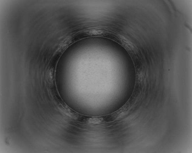 X0000091850373200709191101