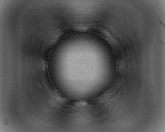 X0000091850374200709191101