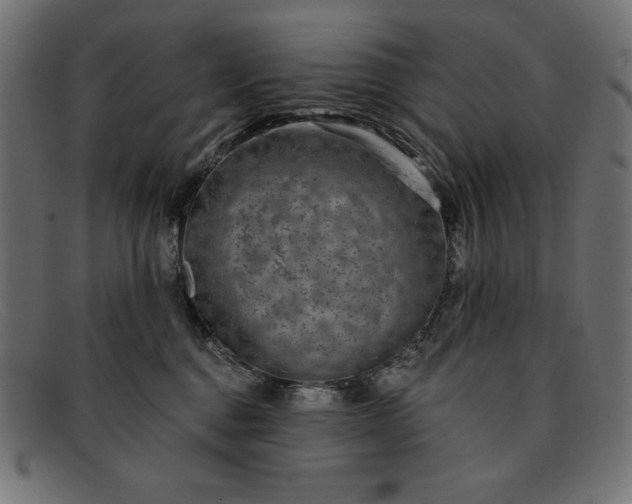 X0000091850376200709191101