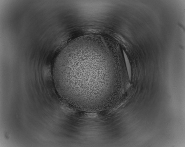 X0000091850377200709191101
