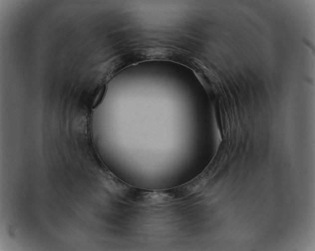 X0000091850379200709191101