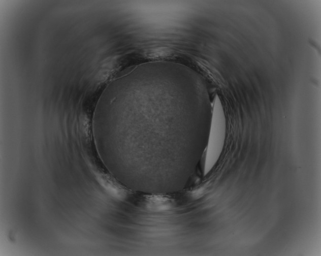 X0000091850380200709191101