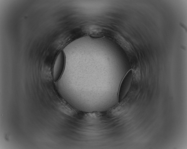 X0000091850381200709191101
