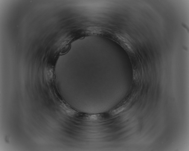 X0000091850382200709191101
