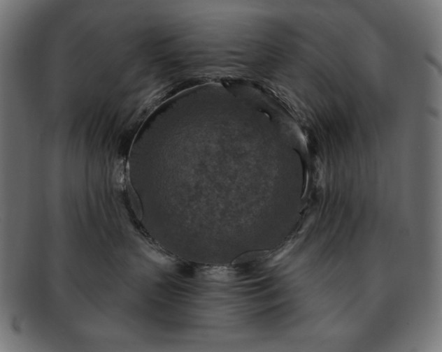 X0000091850383200709191101