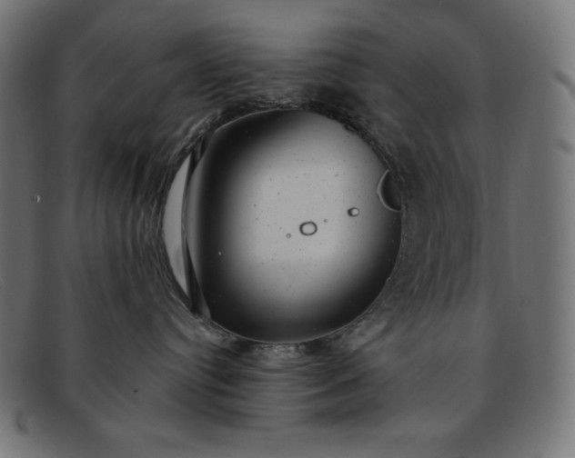 X0000091850384200709191101