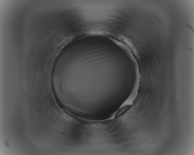 X0000091850385200709191101