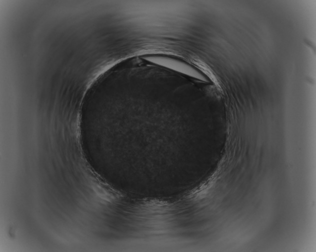 X0000091850387200709191101
