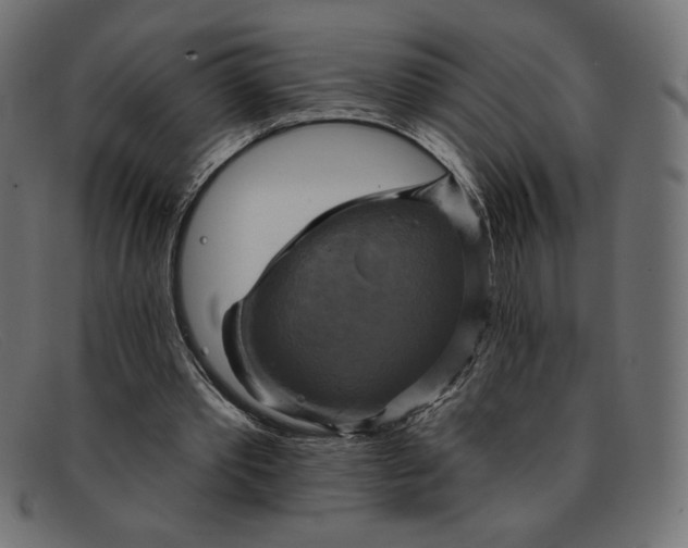 X0000091850389200709191101