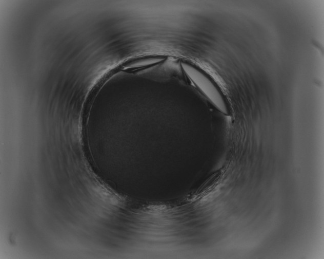 X0000091850391200709191101
