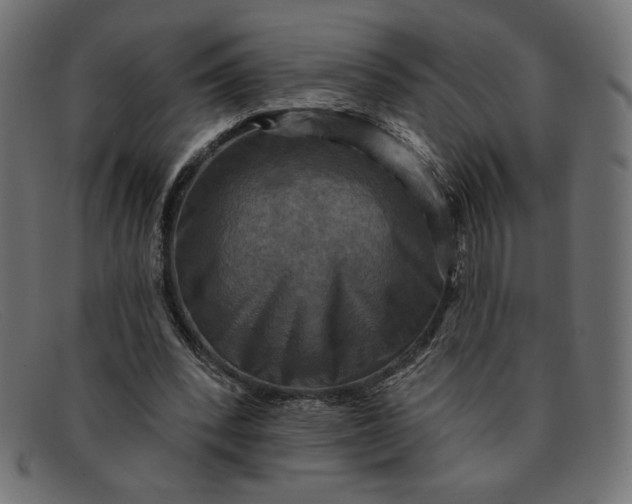 X0000091850392200709191101