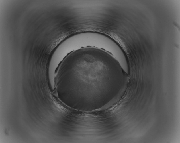 X0000091850393200709191101