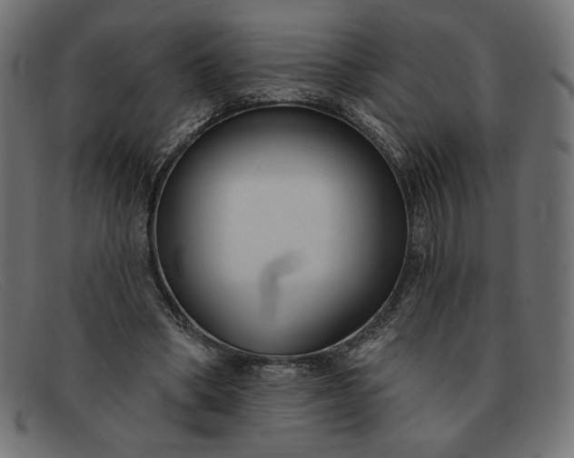 X0000091850394200709191101