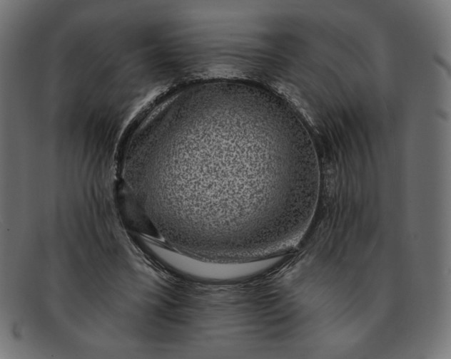 X0000091850395200709191101