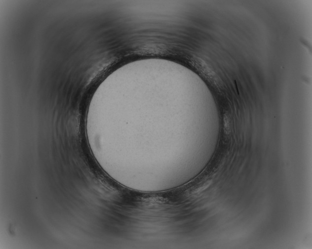 X0000091850396200709191101