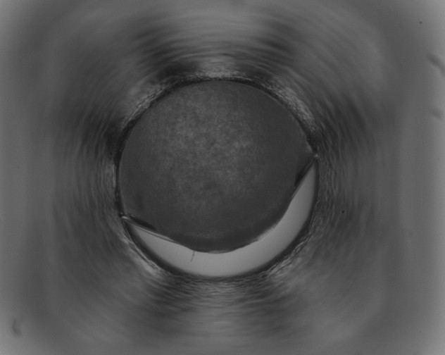 X0000091850397200709191101