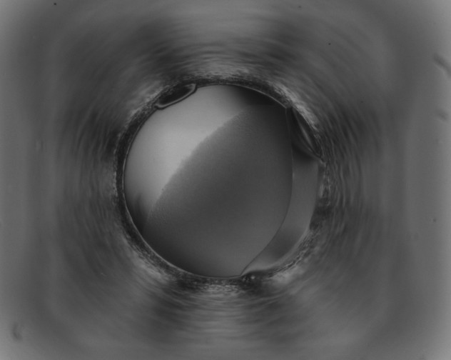 X0000091850399200709191101