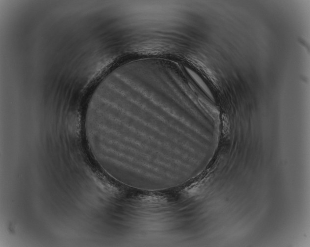 X0000091850400200709191101