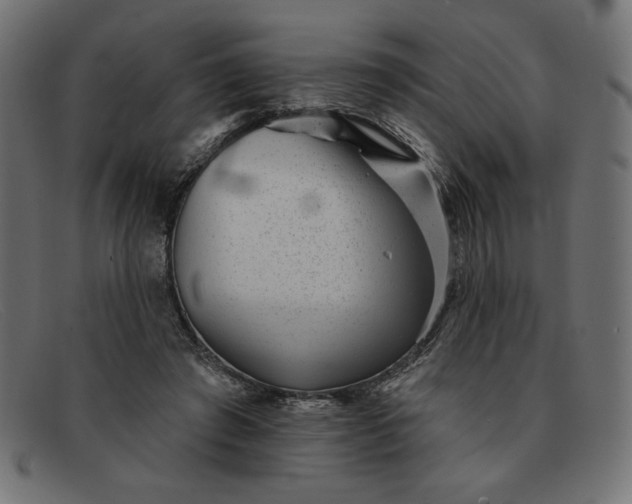 X0000091850401200709191101